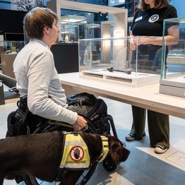 Junger Mann im Rollstuhl mit Assistenzhund vor einem unterfahrbaren Tisch in der Ausstellung. Dahinter steht eine junge Museumsführerin.