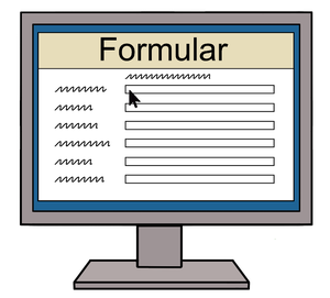 Ein Computer-Bildschirm mit einem Formular.